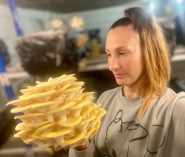 culture de shiitakés dans le blockhaus de Bacalan - La Champignonne
